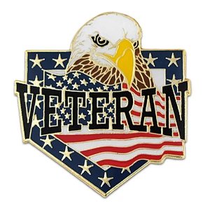 Veteran American Flag Eagle Patriotic Enamel Lapel Pin Badge