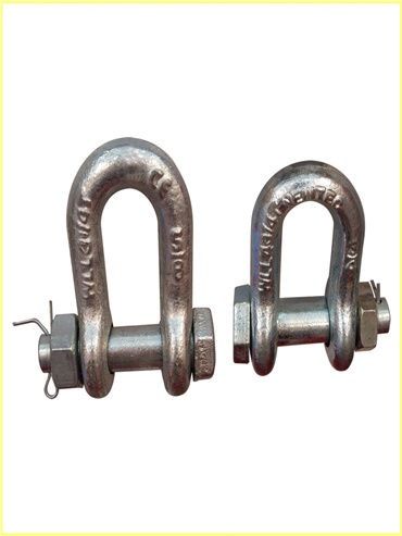 Galv. G-210 US Type anchor Forging Shackles High Quality D Type Shackle