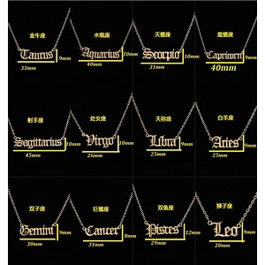 Fashion Twelve Constellation Necklace Stainless Steel Zodiac Sign Pendant Necklace for Women