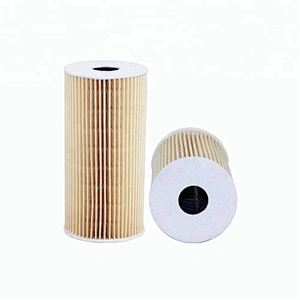 OEM Oil Filter Element E251HD11 O-5302