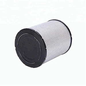 Truck Engine Air Filter AF25631