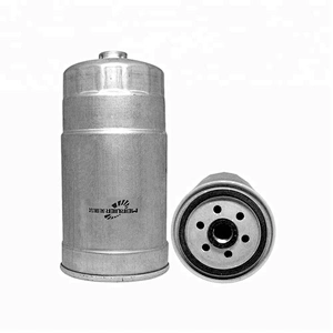 Truck Parts Fuel Filter 5000686589
