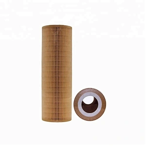 Oil Filter 2022275 LF17486 E123HD194 E123H01D194 OX562D HU1077/1x EO-83020 1742032 P953329