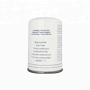 FF5074 China Factory Engine Fuel Filter 466987-5