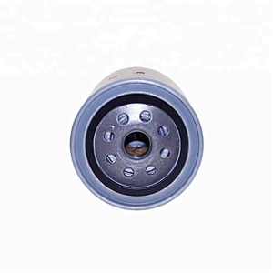 D21140 car fuel filter for vehicle auto spare engine parts Z188