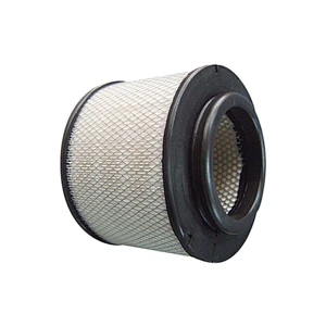 China Filter Wholesale Air Filter  17801-0C010