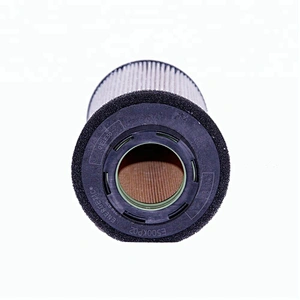 Auto Parts Diesel Engine Fuel Filter E500KP02D36