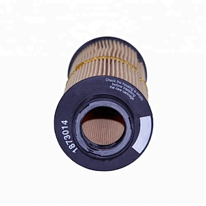 1873014 Oil filter element for car parts HU 1072 x