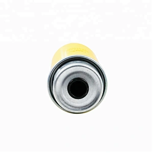 Auto Parts Fuel Filter 32-925994
