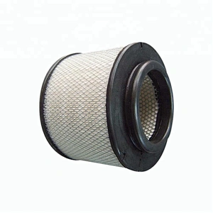 Manufacture High Quality Auto Truck Air Filter (17801-0C010)