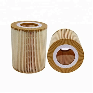 Oil Filter Element 11427512300