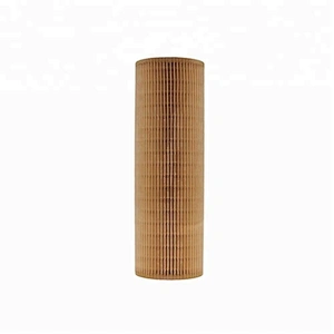 Oil Filter 2022275 LF17486 E123HD194 E123H01D194 OX562D HU1077/1x EO-83020 1742032 P953329