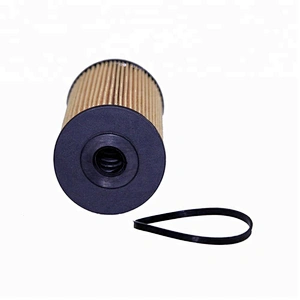 EO-1501 Good Quality  Oil Filter Element  8980188580