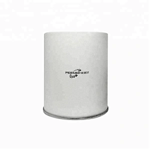 Truck Engine FS19895 Fuel Filter Water Separator 20853583