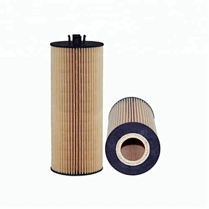 H70WK02  Auto Fuel Filter 1457434106