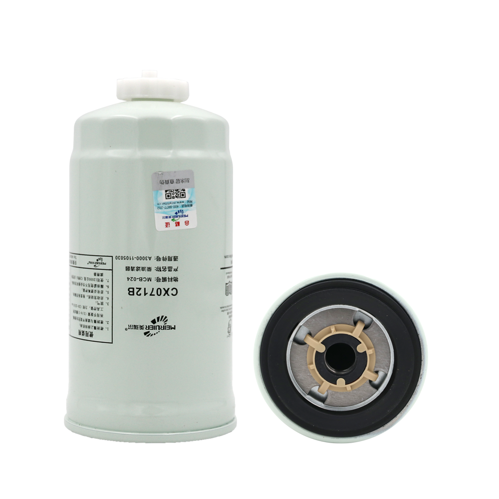 【Meiruier FIlter】 The instructions when choosing fuel filter