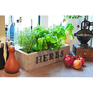 Wooden Herbs Box