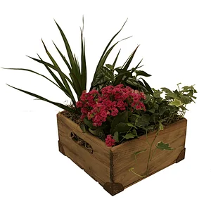 modern home decor Wood Decorative Crates/Boxes  Set of 3