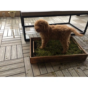 Porch Potty Standard The best grass dog potty on the market Dog Litter Box training LARGE Protective Sleeve - (OAK)