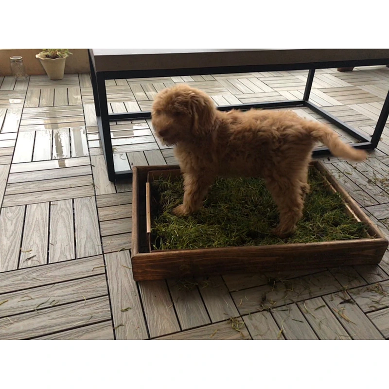 Porch Potty Standard The best grass dog potty on the market Dog Litter Box training LARGE Protective Sleeve - (OAK)