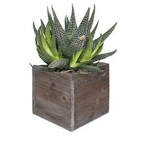 New Design Wooden Flower Planter Box Bed For Sale