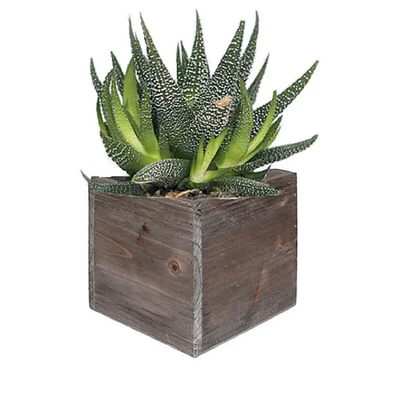 New Design Wooden Flower Planter Box Bed For Sale