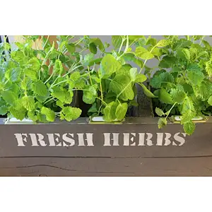 Rustic wooden box for herbscustom wholesale cheaper delicate wood planter boxwood box with ceramic flower flower wood box