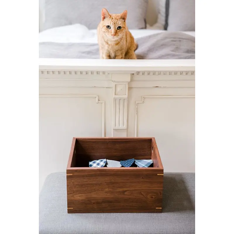 Vintage country exquisite pet storage box