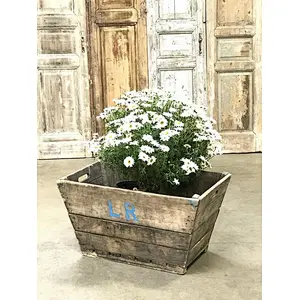 Wood Box Natural Brown-Vintage FRENCH CHAMPAGNE Crates imported from France
