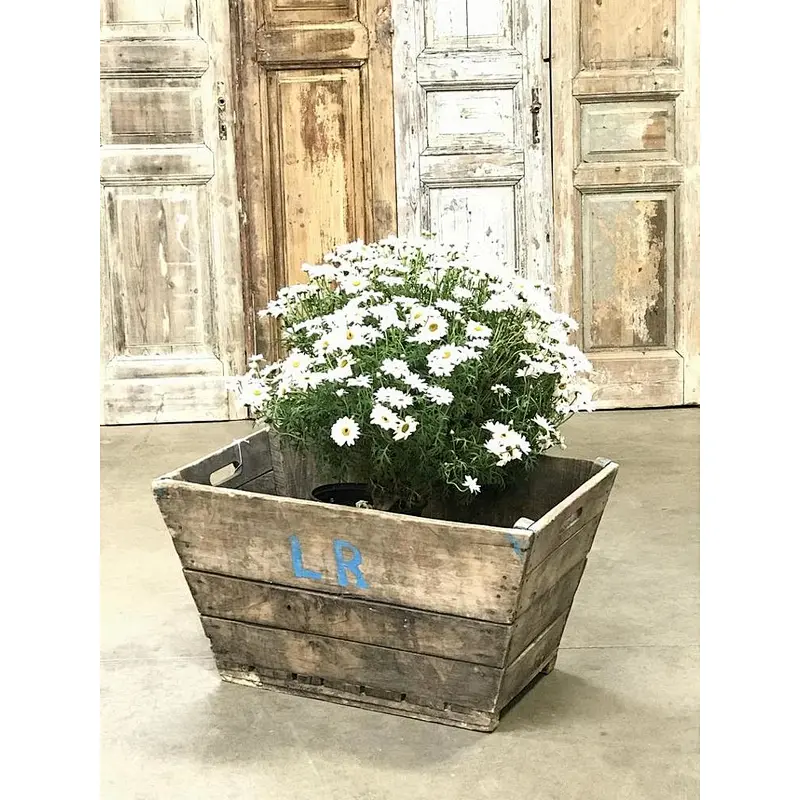 Wood Box Natural Brown-Vintage FRENCH CHAMPAGNE Crates imported from France