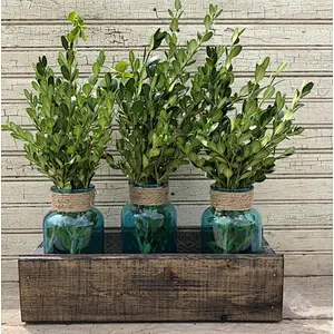 A crate planter in the style of a country farmhouse   wood box
