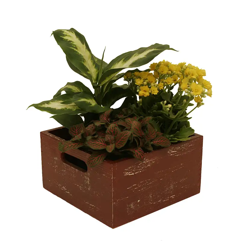 Personalized Vegetable crate, garden crate-Weathered Red Wood Storage Boxes (Set of 3)