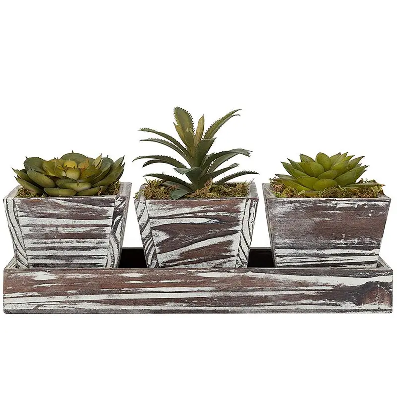 Rustic Style Artificial Succulent Torched Wood Planters Removable Tray, Set of 3
