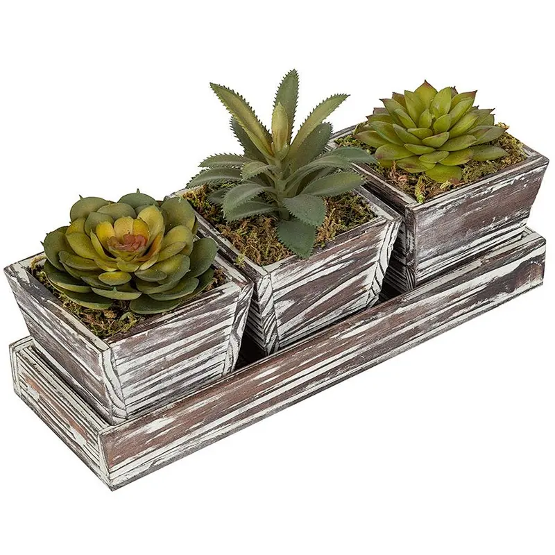 Rustic Style Artificial Succulent Torched Wood Planters Removable Tray, Set of 3