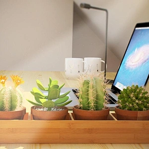 Rectangular Wooden (Bamboo) Window Planter Box Four-sectioned Tray for Succulents Herbs And Flowers