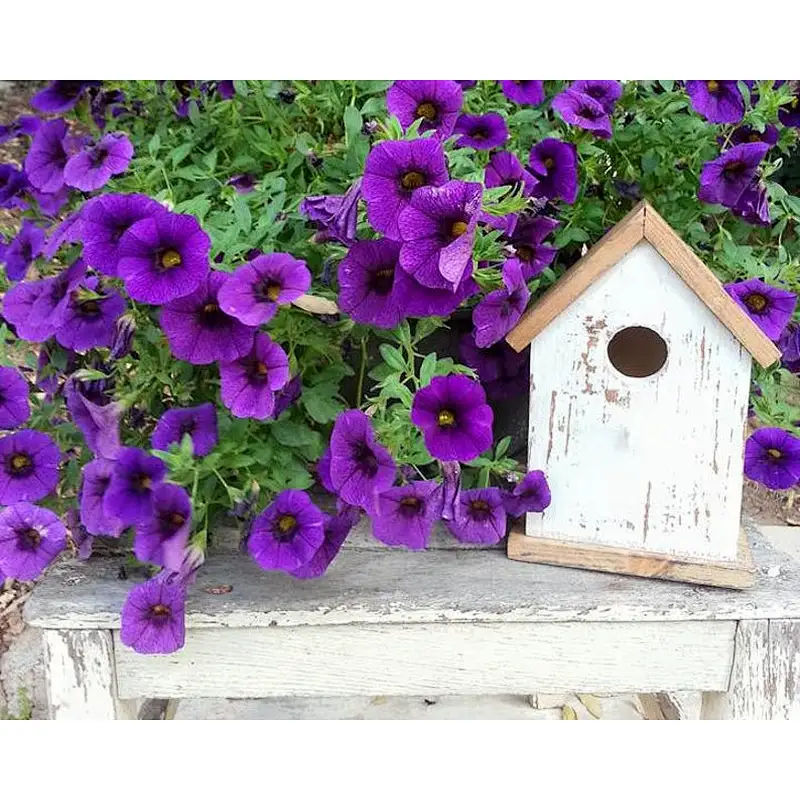 JUNJI Best Bird House Wood New Cedar Wooden Decorative Birdhouse Hanging Nest Rustic