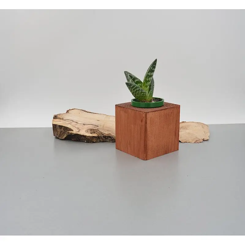 2020 Wooden Succulent  pot Christmas