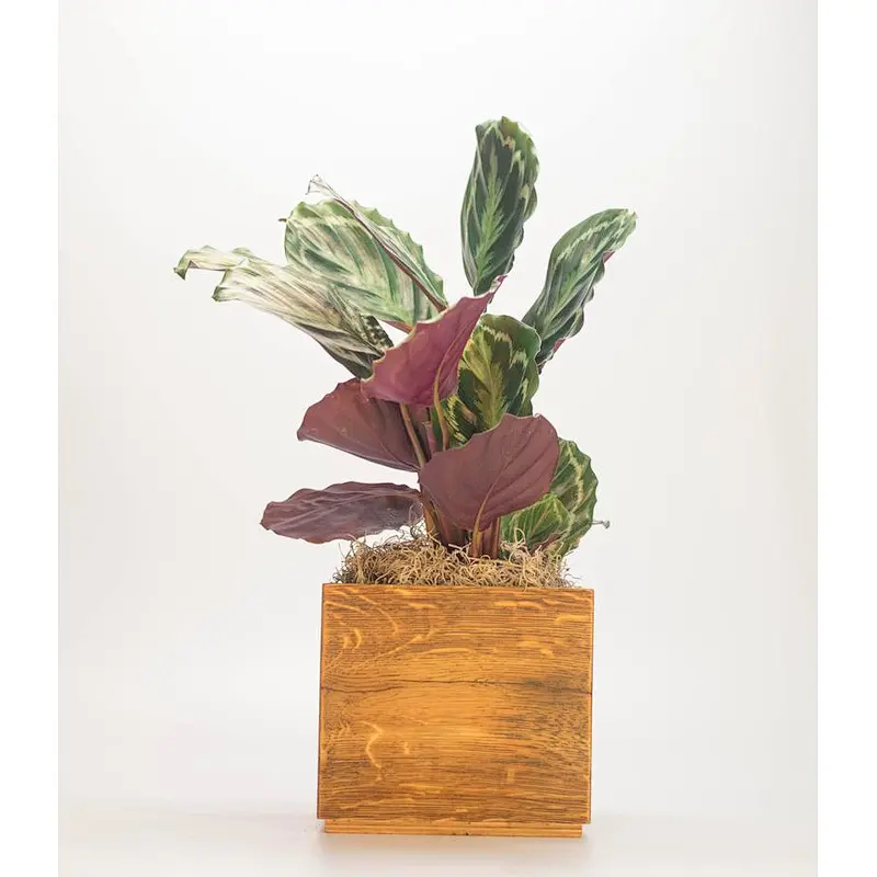 Large Plant Pot Rectangular Planter Rustic Modern Planter Herb Planter
