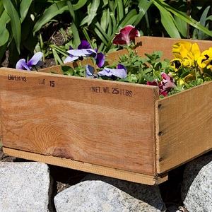 Vintage Wooden Fruit Crate Old fashioned Shipping Crate Wood Storage Box Wooden Trays and Boxes