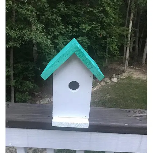 Rural retro style color simplified version of bird house