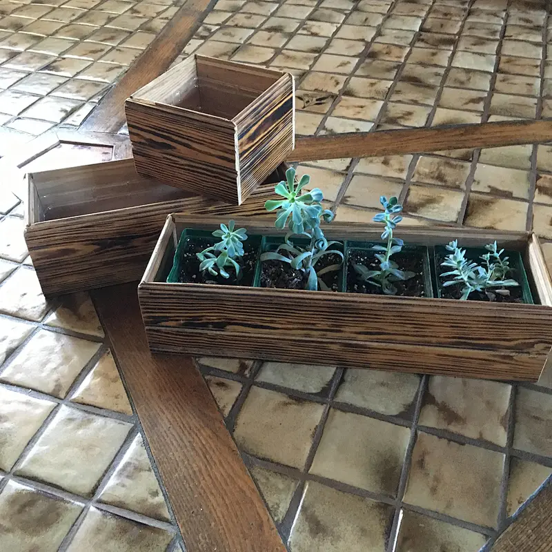 Wood Planter, Decorative Box,  Houseplant Box