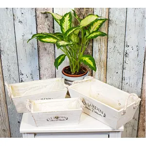 Rustic French Wooden Rope Plant Pots