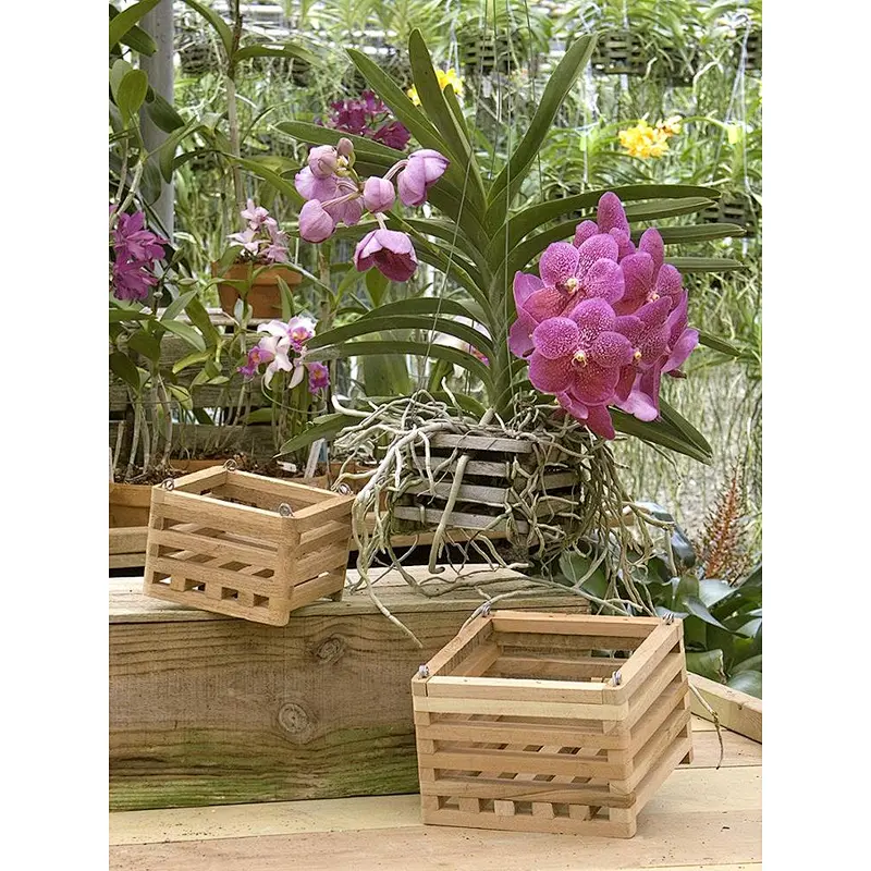 Rucstic personalized customized handrcraft cheaper Better-Gro Cedar Slat  home wooden decoration Vanda Basket - 12 inch square