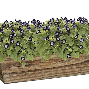Classic Home and Garden Wood Window Box -