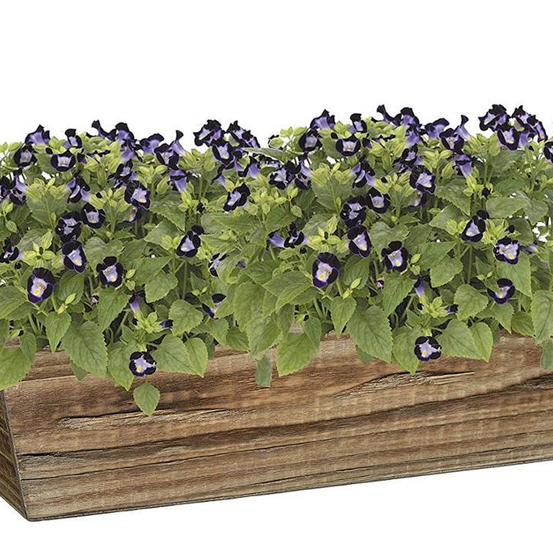 Classic Home and Garden Wood Window Box -