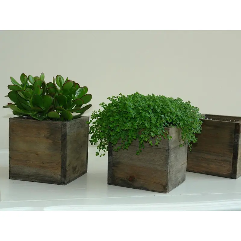 5 Inch Square Flower Holder,  Country Style, Home and Wedding Wood Planter Box