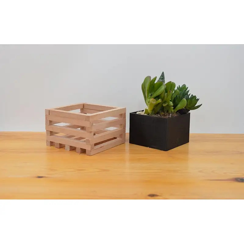 Wooden Succulent pot