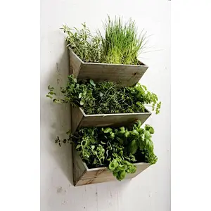Hanging Flower Pot,