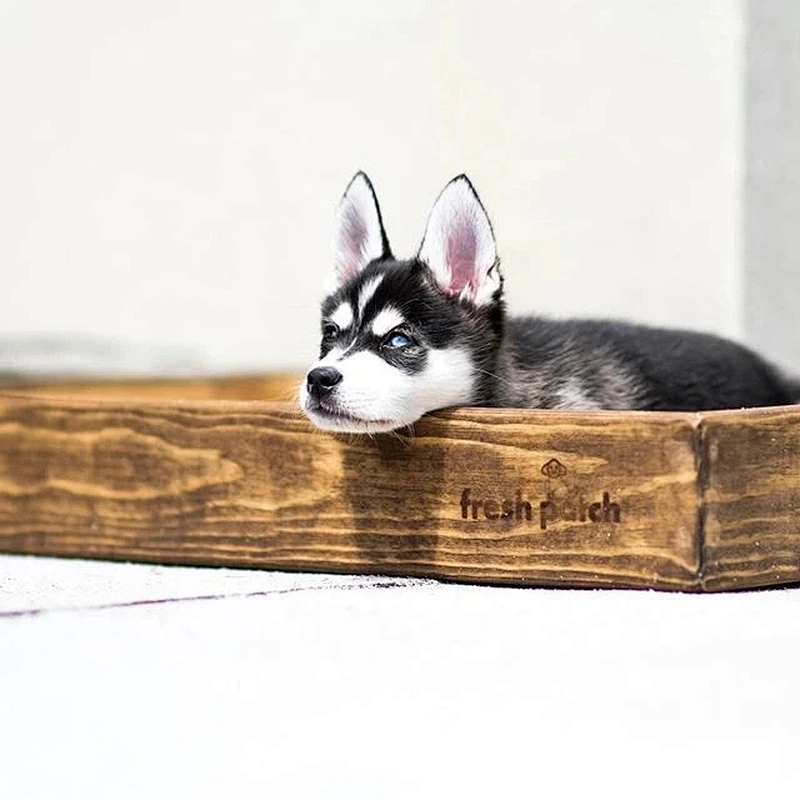Porch Potty Standard The best grass dog potty on the market Dog Litter Box training LARGE Protective Sleeve - (OAK)