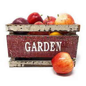 Wooden Crates Fruit Basket Decorative Kitchen Storage Garden Decor by PKD (Set of 3)